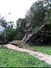 IMG_0404.jpg